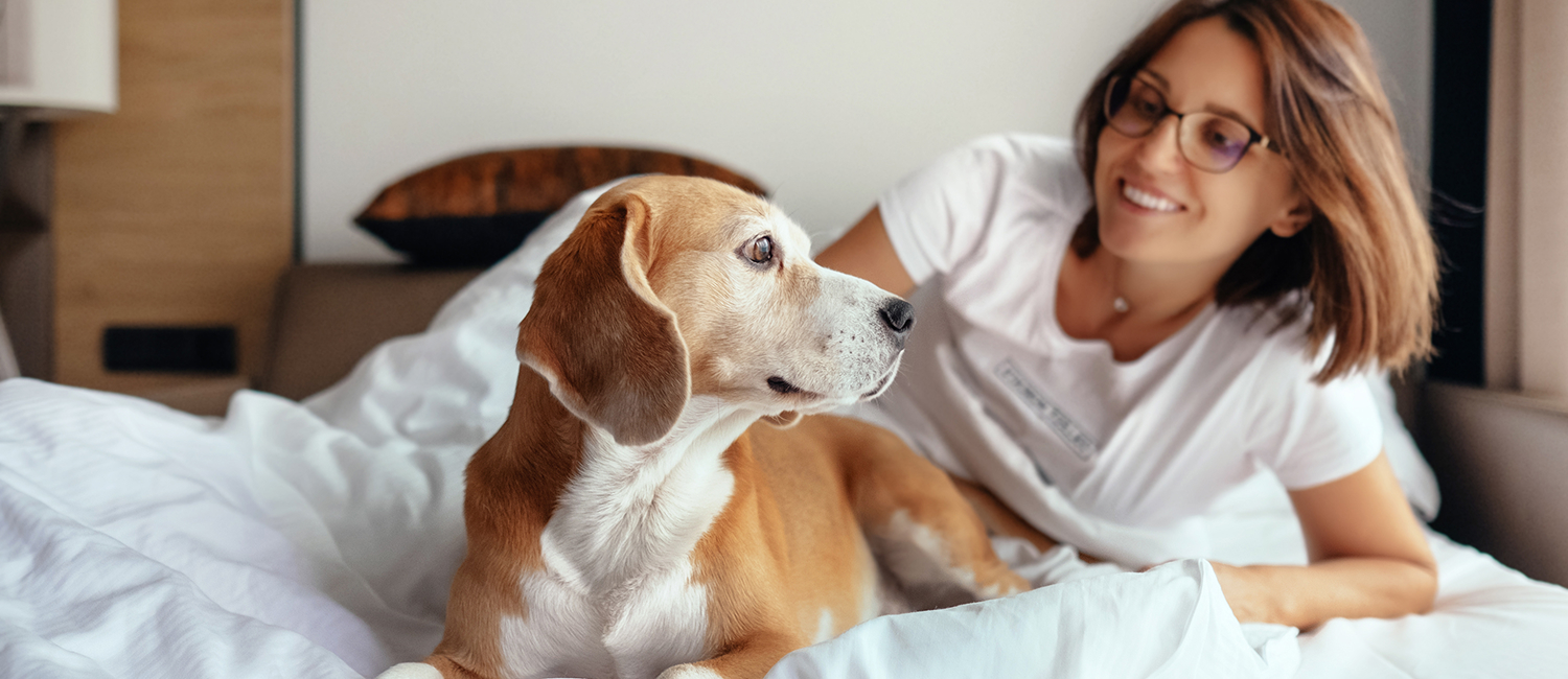 ENJOY YOUR STAY IN OUR PET-FRIENDLY YUBA CITY- MARYSVILLE HOTEL