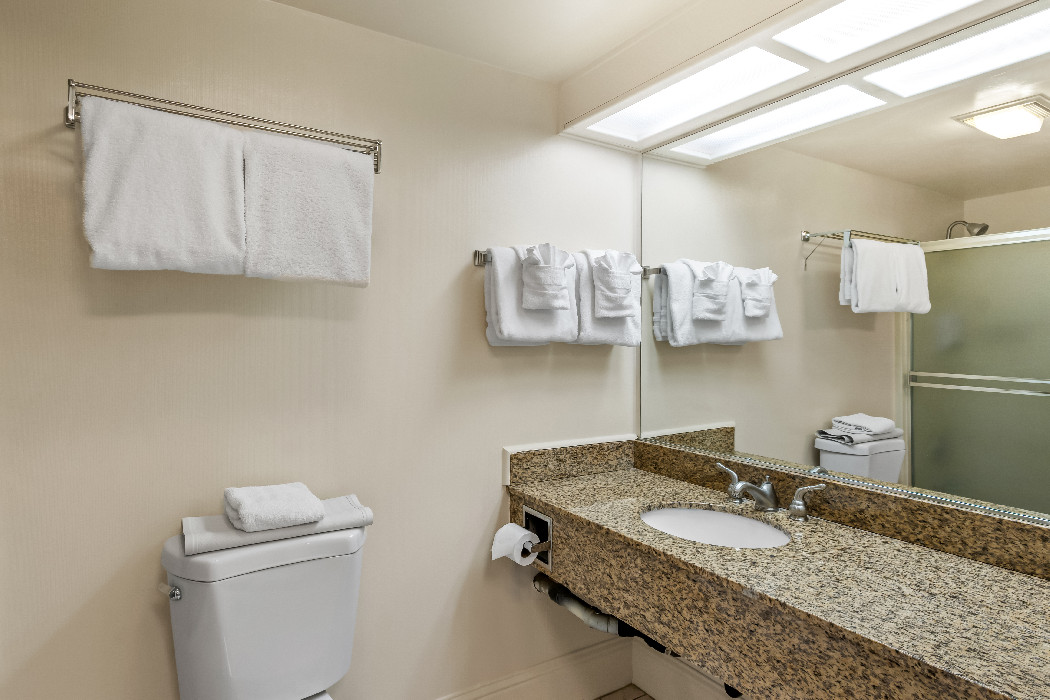 Suite 1 King Bed with Kitchenette Non-Smoking